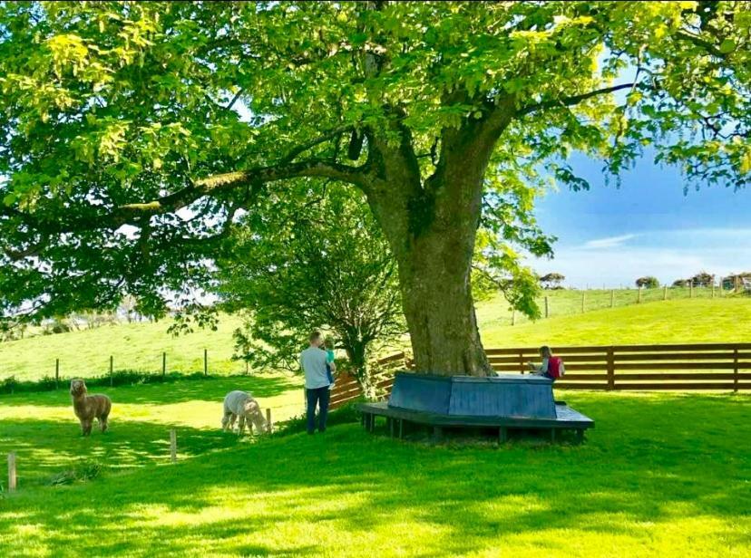 Torrs Warren Country House Hotel Stoneykirk Extérieur photo